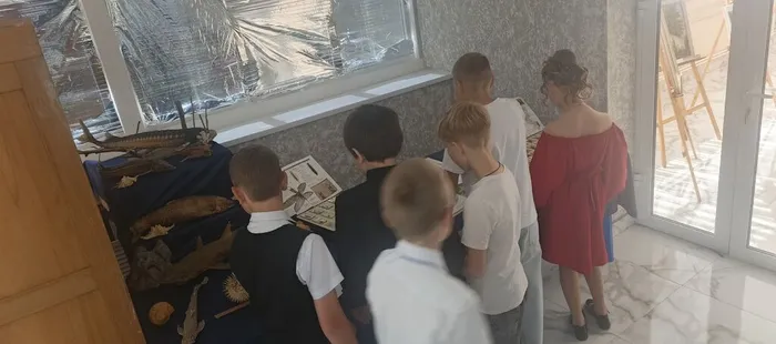 жуки