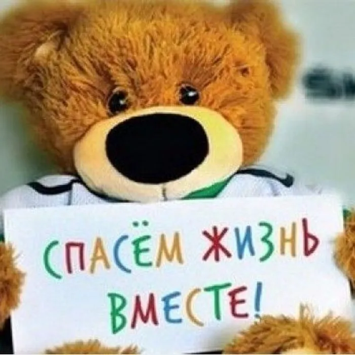 Спасём жизнь вместе! - «Кладмен»