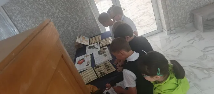 насекоимые